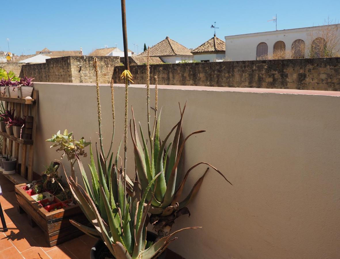 Apartamento En Juderia La Murallita Cordoba Ngoại thất bức ảnh